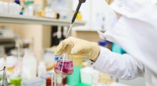 scientist in laboratory